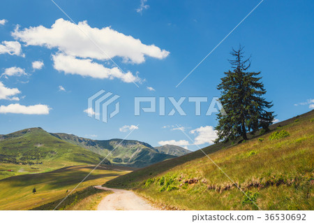 Landscapes of Rodna Mountains in romania 36530692