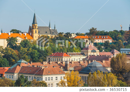 View of Prague from the hill of Vysehrad fort 36530715