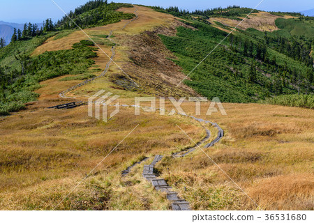 草秋葉山土坎線 草秋葉山土坎線 36531680