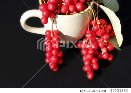 schizandra in the cup on the black 36531883