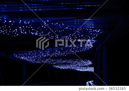 Tottori Flower Corridor Illumination 36532265