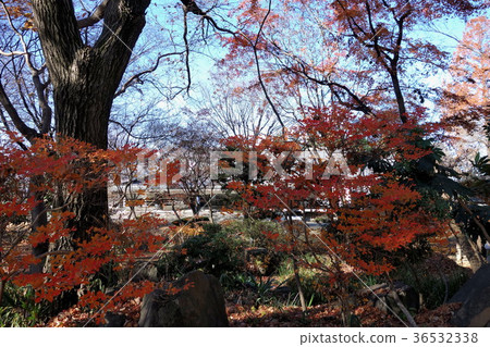 Nittaso history museum · December 36532338