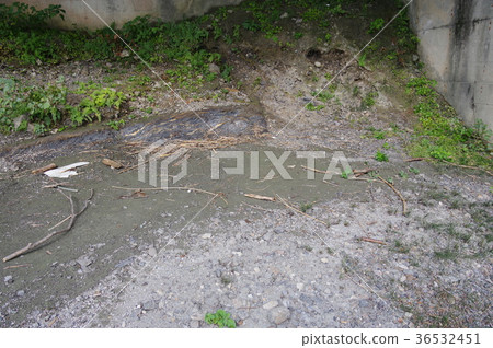 塔米諾中位數構造線 塔米諾中位數構造線 36532451