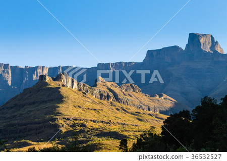 Amphitheatre from Royal Natal National Park Amphitheatre from Royal Natal National Park 36532527
