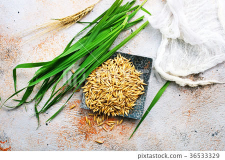 raw oat raw oat 36533329