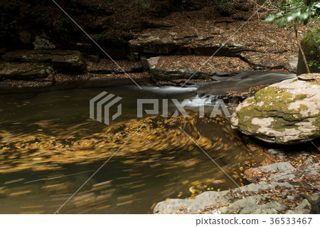 Akameshi 48 waterfall and colored leaves 36533467