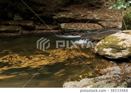 Akameshi 48 waterfall and colored leaves 36533468