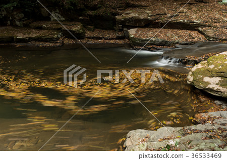 Akameshi 48 waterfall and colored leaves Akameshi 48 waterfall and colored leaves 36533469