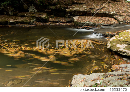 Akameshi 48 waterfall and colored leaves Akameshi 48 waterfall and colored leaves 36533470