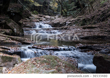 Akameshi 48瀑布和彩色的葉子 36533480