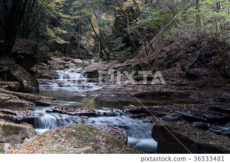 Akameshi 48瀑布和彩色的葉子 36533481