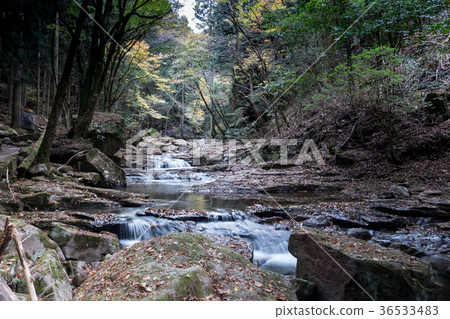 Akameshi 48 waterfall and colored leaves 36533483