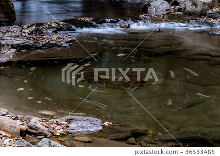 Akameshi 48 waterfall and colored leaves 36533488