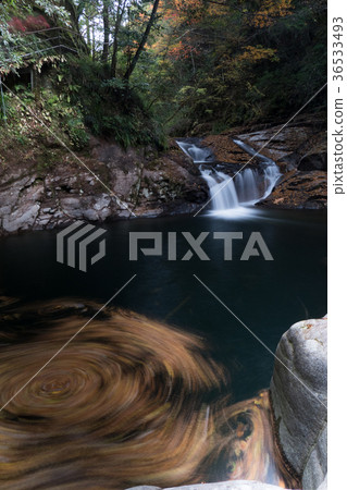 Akameshi 48 waterfall and colored leaves Akameshi 48 waterfall and colored leaves 36533493