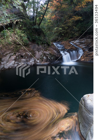 Akameshi 48 waterfall and colored leaves Akameshi 48 waterfall and colored leaves 36533494