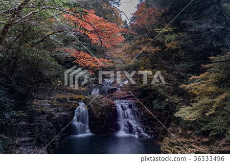 Akameshi 48瀑布和彩色的葉子 Akameshi 48瀑布和彩色的葉子 36533496