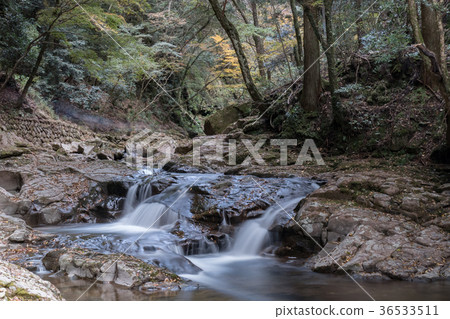 Akameshi 48 waterfall and colored leaves 36533511