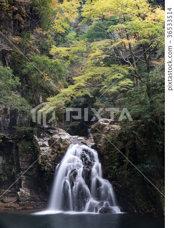 Akameshi 48 waterfall and colored leaves Akameshi 48 waterfall and colored leaves 36533514