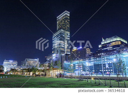Night view of Osaka Abeno Harukas 36534618