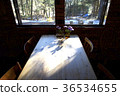 table 36534655