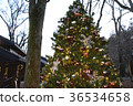 Christmas 36534658