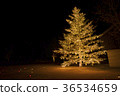 Christmas 36534659