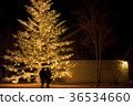Christmas 36534660