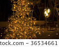 Christmas 36534661