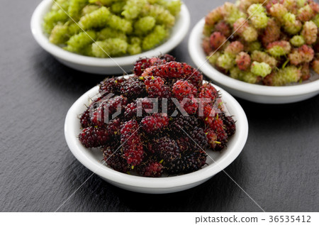 桑果 桑果 36535412