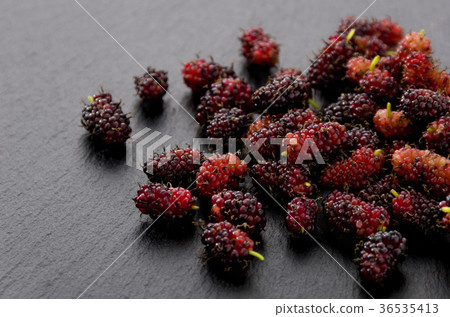Mulberry fruit 36535413