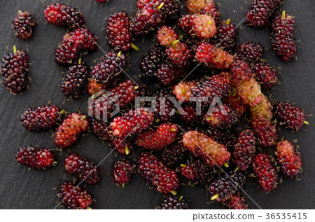 Mulberry fruit 36535415