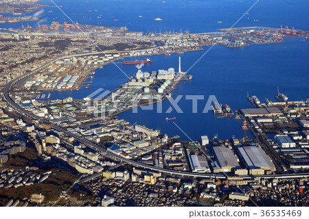 Negishi Negishi 36535469