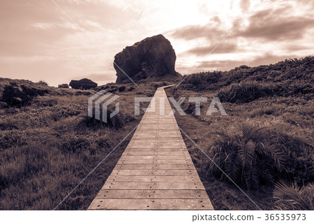 三仙台，一個目標 36535973