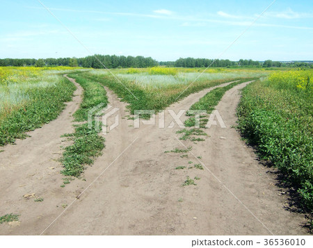 crossroad 36536010