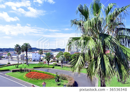 立山站西口的視圖 36536348