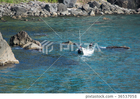 Sea urchin sea fishing in Shakotan Sea urchin sea fishing in Shakotan 36537058