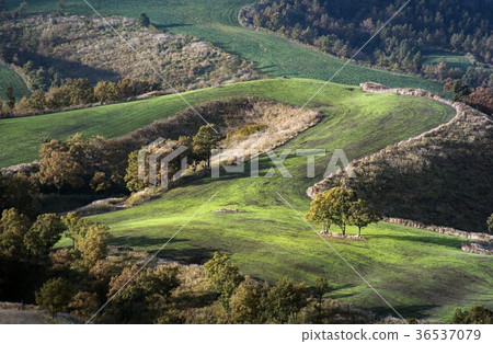 清水瀑布 清水瀑布 36537079