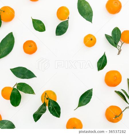 Frame of citrus fruit on white background Frame of citrus fruit on white background 36537282