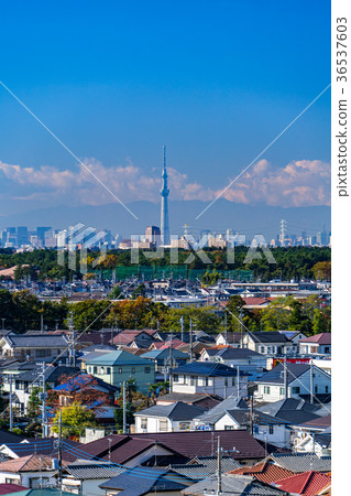 Cityscape with Sky Tree Cityscape with Sky Tree 36537603