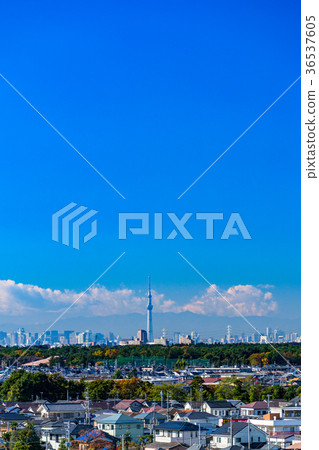 Cityscape with Sky Tree Cityscape with Sky Tree 36537605
