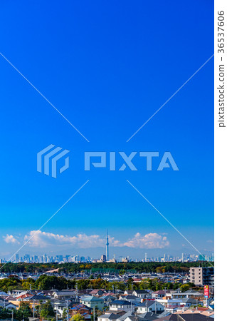與天空樹的都市風景 與天空樹的都市風景 36537606