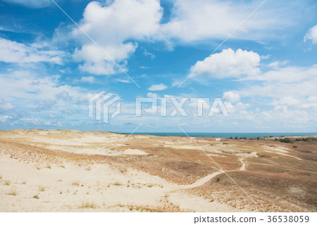 Sand dunes covered with dry grass, a footpath Sand dunes covered with dry grass, a footpath 36538059