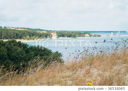 Blurred background with Nida pier, a view from  36538065