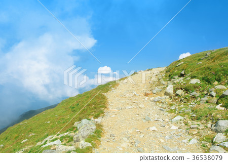 A serpentine track road path at mountainside A serpentine track road path at mountainside 36538079