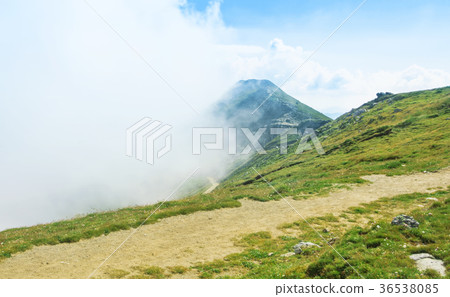A serpentine track road narrow path A serpentine track road narrow path 36538085