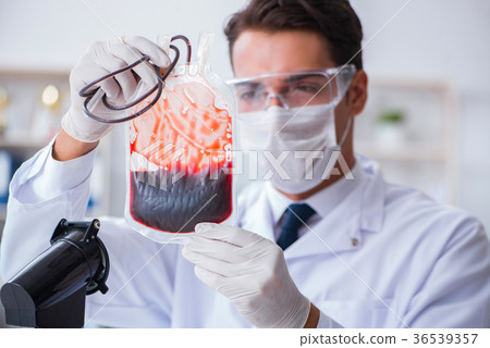 Doctor working with blood samples in hospital 36539357