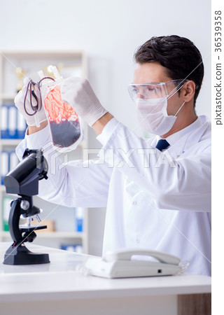 Doctor working with blood samples in hospital Doctor working with blood samples in hospital 36539358