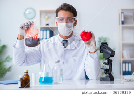 Doctor working with blood samples in hospital Doctor working with blood samples in hospital 36539359