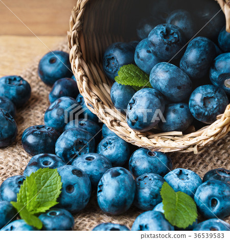 Freshly picked juicy and fresh blueberries Freshly picked juicy and fresh blueberries 36539583