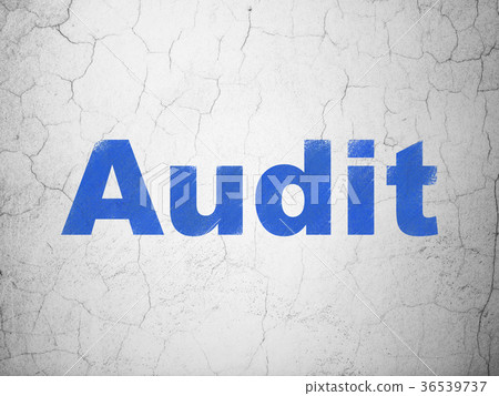 Finance concept: Audit on wall background 36539737